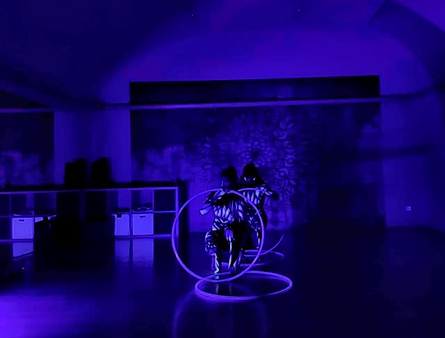 Szösszenet az új LED zsonglőr előadásunkból. 💖

#ahurafiretribe #ledhoops #ledperformance #lighttoys #ledhoopduo #hoopart